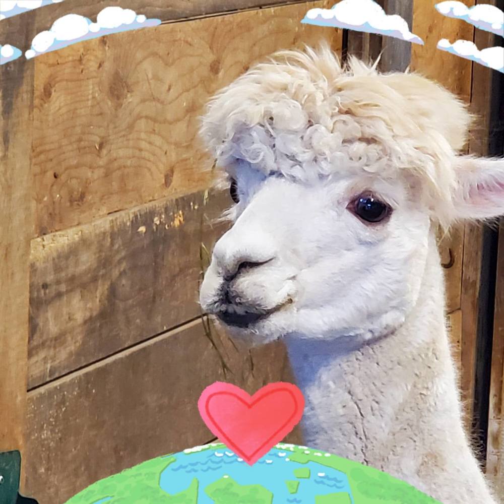 Meet your Posher, Marilyn